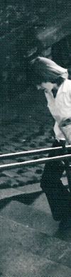header links